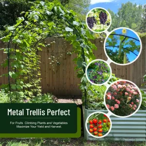 2PCS Wedding Garden Arch Stand,7.9Ft Metal Outdoor Indoor Garden Arbors Stand for Climbing Plant Wedding Christmas Party Decoration (Green-2PCS)