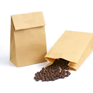 32 x 18 x 11cm 2X-Large Brown Kraft Paper Bags