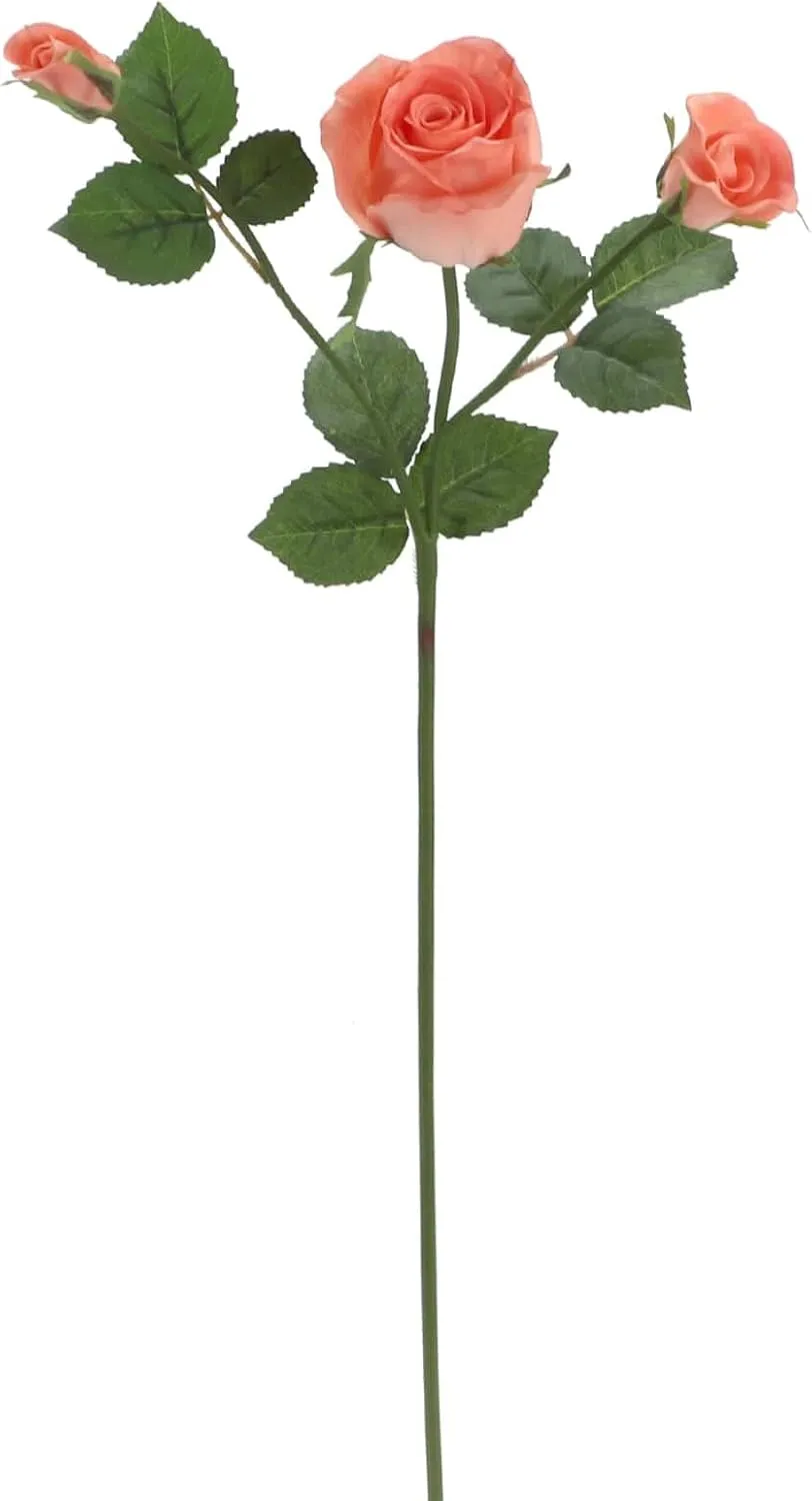 Ashland 6 Pack: Coral Rose Spray