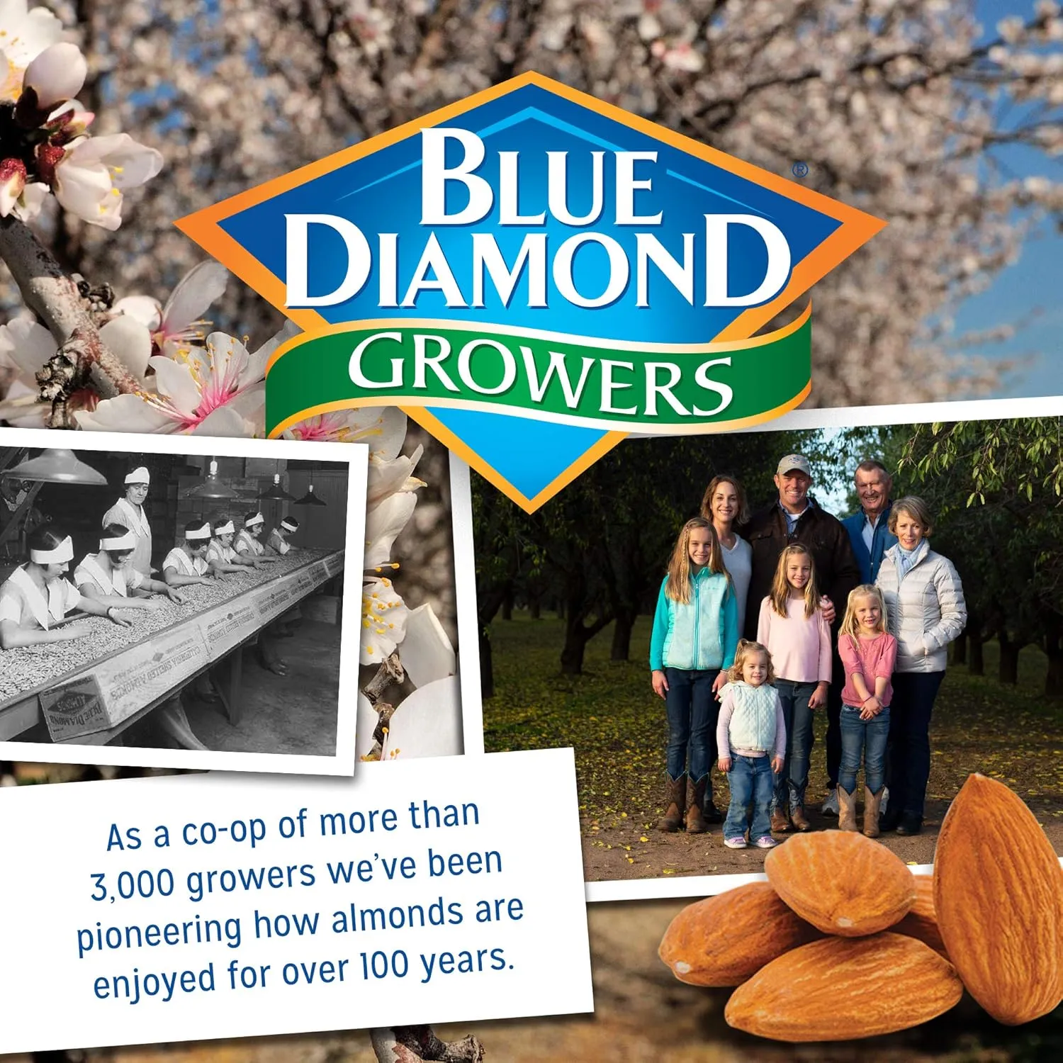 Blue Diamond Almonds, Smokehouse, 4 Ounce (pack of 12)