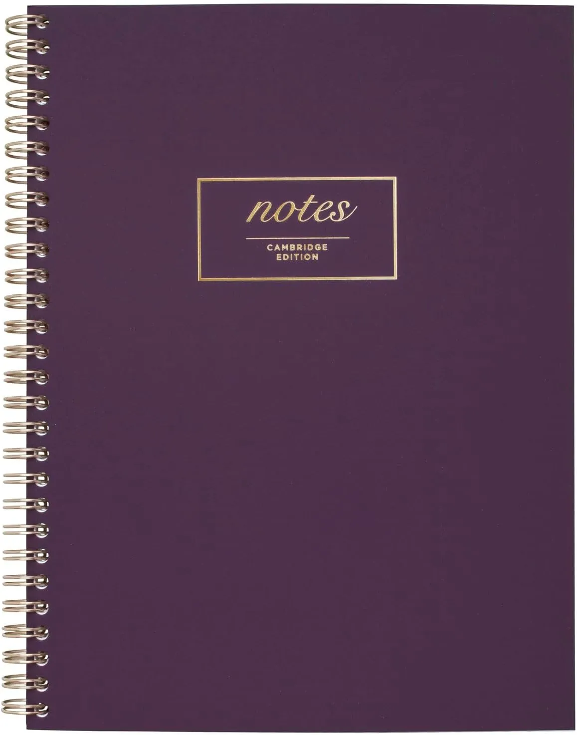 Cambridge Notebook, WorkStyle Business Notebook, 9-1/2" x 7-1/4", 80 Sheets, Legal Ruled, 80 Sheets, SoftTouch Cover, Wirebound, Purple (49556)