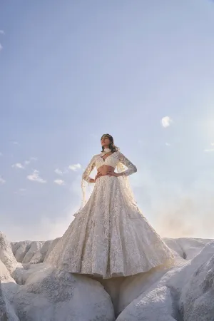 Cream Three-Dimensional Lehenga Set