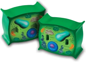 Learning Resources Cross-Section Plant Cell Model, Plant Anatomy, Science Classroom Accessories, 2 Foam Pieces, Ages 7 , Multi, 5 x 4 x 4.5 inches (LER1901)