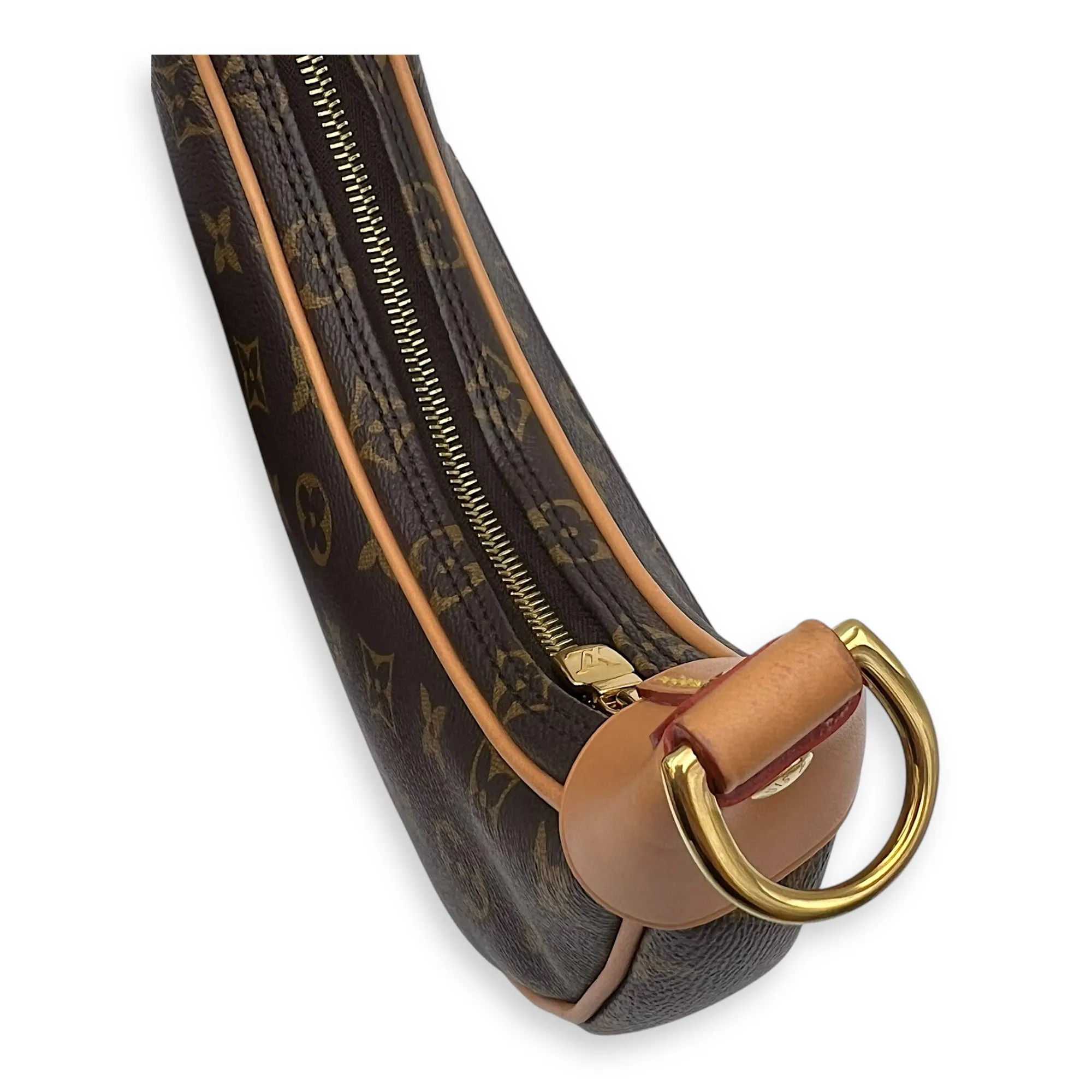 Loop Shoulder Bag Brown in Monogram Coated Canvas, Gold hardware