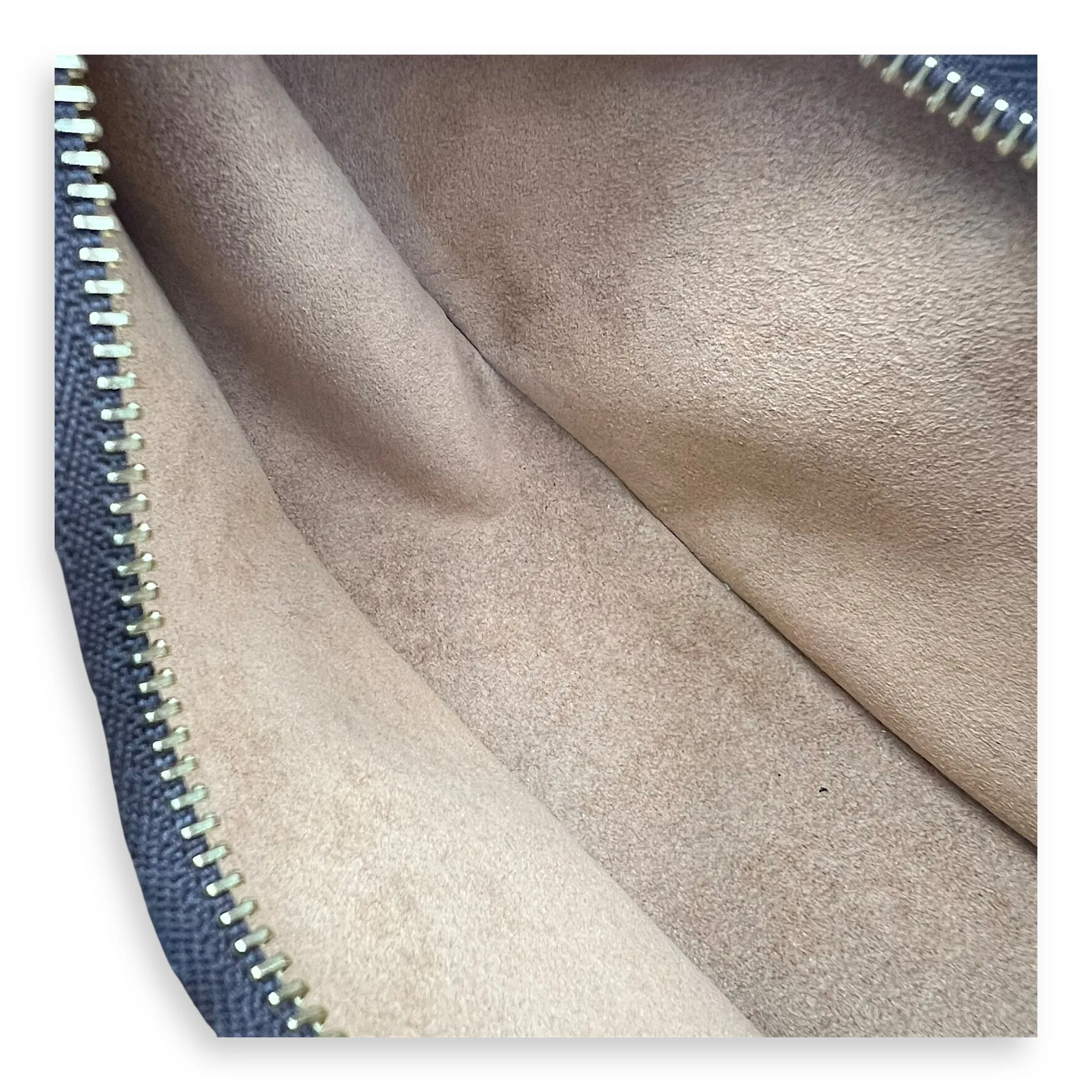 Loop Shoulder Bag Brown in Monogram Coated Canvas, Gold hardware