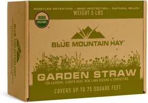Organic Garden Straw (5lb) | Blue Mountain Hay | Straw Mulch for Raised Bed Gardens, Yard Landscaping, New Lawn Grass Seed Plantings, Tomato & Vegetable Mulch | Covers up to 75 sq ft