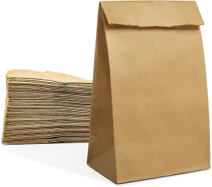 Paper Lunch Bags 50 Count Large Brown Lunch Bags Sacks 8lb Brown Paper Bulk Strong for Small Business