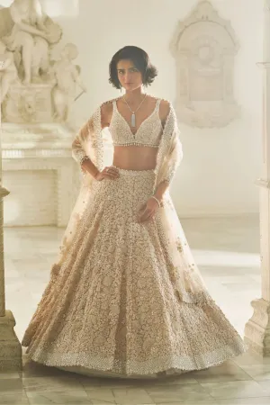 Powder Pink Three-Dimensional Lehenga Set