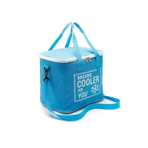 Reliable customer service Lunch Cloth Bags 20L Insulation Picnic Outdoor Oxford Incredible sale Box Bag Cooler Cold Waterproof B2Cshop