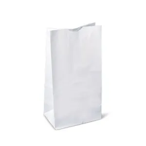 RiteEarth - 14 lb Paper Bag White, 500 Bags/Case - PB140W
