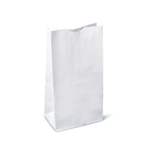 RiteEarth - 14 lb Paper Bag White, 500 Bags/Case - PB140W