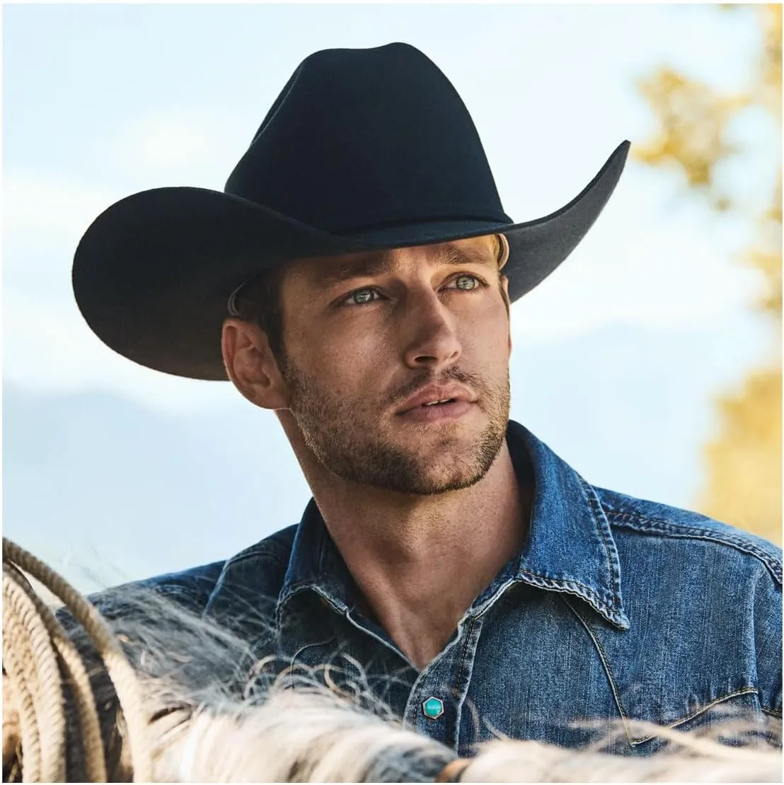 STETSON Black Corral Buffalo Collection Western Hat - SBCRAL-7540-07