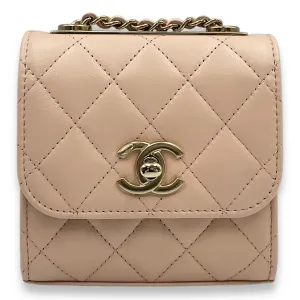 Trendy CC MIni Pastel Pink Vanity Bag in Lambskin, Gold hardware
