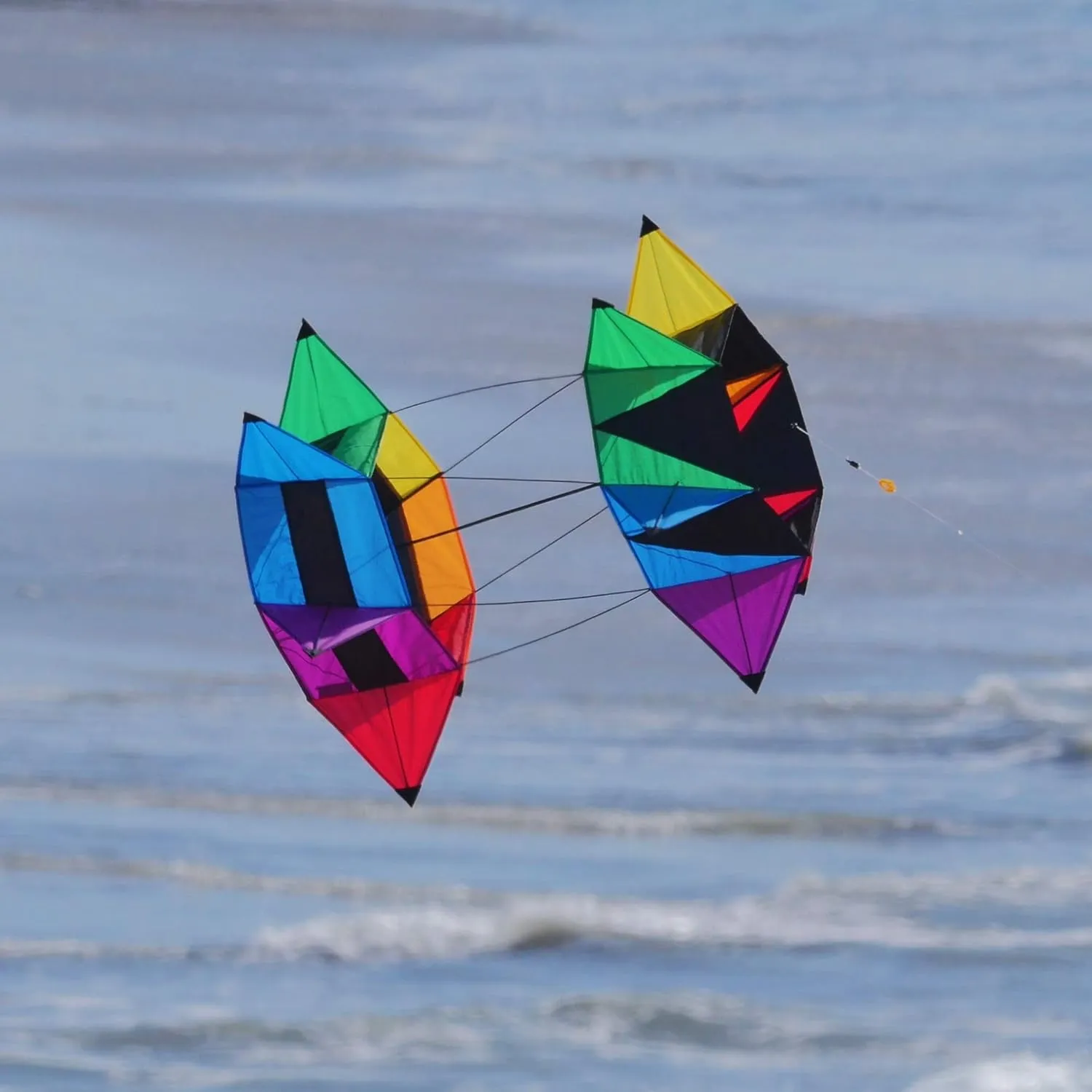WindNSun Supersize 3D Revolution Kites & Box Kite