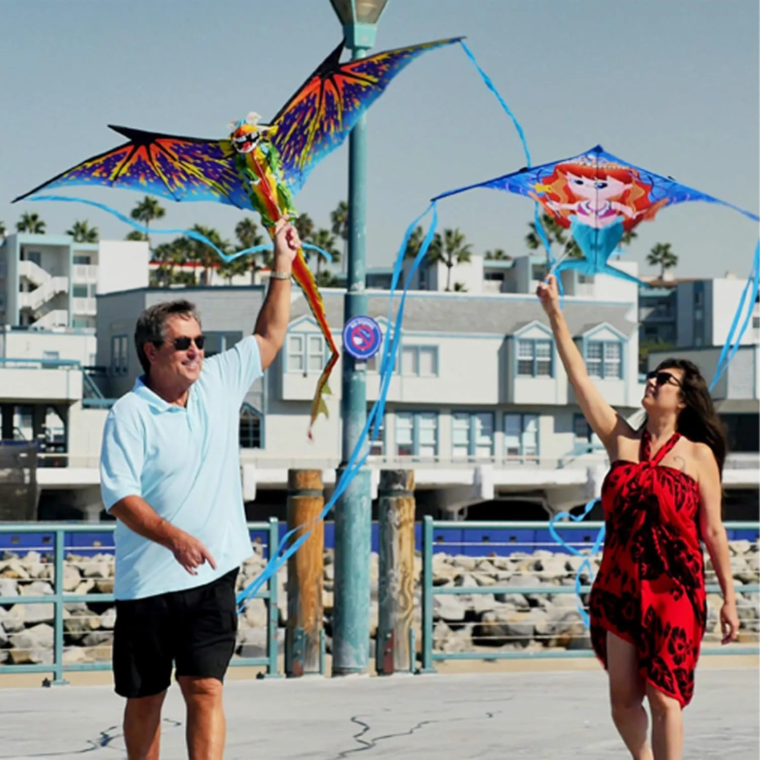 WindNSun Supersize 3D Revolution Kites & Box Kite