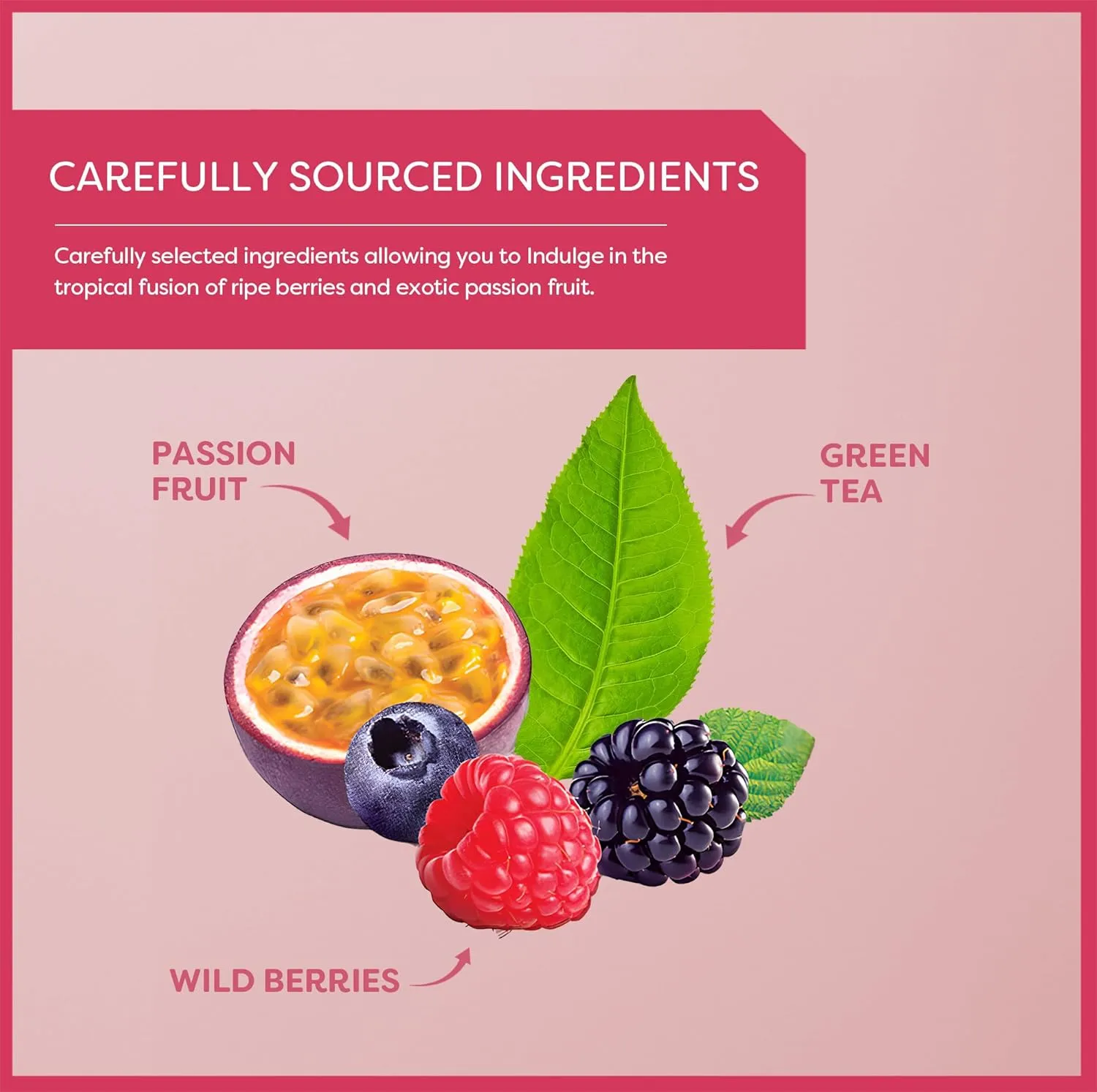 Wissotzky Wild Berries & Passion Fruit Green Tea (6 Pack - 120 Tea Bags | Antioxidant Rich | Tropical Blend Green Tea Bags